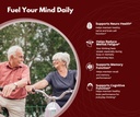 brain-productivity-supports-focus-memory-4.jpg