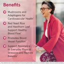 jarrow-formulas-cardiovascular-optimizer-3.jpg