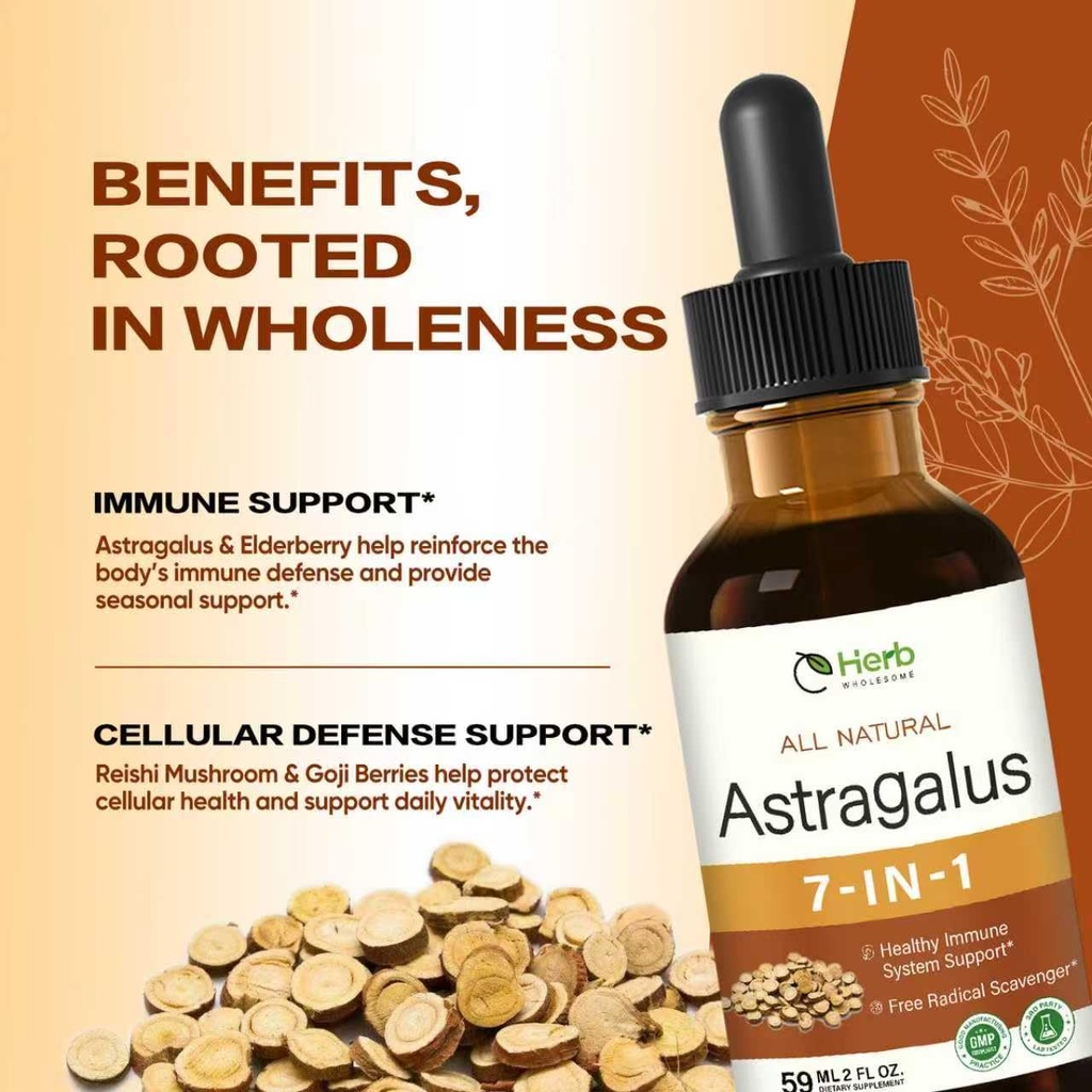 astragalus-root-extract-drops-for-immune-2.jpg