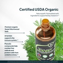 zenmen-organic-sweet-wormwood-artemisia--5.jpg