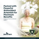 zenmen-organic-sweet-wormwood-artemisia--6.jpg