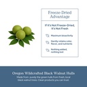 eclectic-herb-black-walnut-capsules-inte-5.jpg