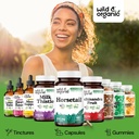 wild-organic-horsetail-herb-capsules-800-6.jpg