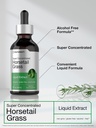 horb-ach-horsetail-herb-liquid-extract-a-4.jpg