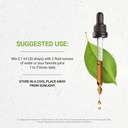 secrets-of-the-tribe-horsetail-tincture--3.jpg