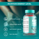 nutrarize-pack-of-3-ketolicious-acv-gumm-5.jpg