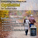 living-stones-complete-mineral-supplemen-4.jpg