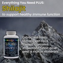 living-stones-complete-mineral-supplemen-6.jpg