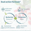 igennus-dual-action-berberine-phytosome--3.jpg