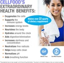 cellfood-oxygen-boost-1-fl-oz-liquid-oxy-6.jpg