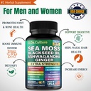 sea-moss-and-shilajit-bundle-shilajit-an-5.jpg
