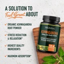 smnutrition-mushroom-gummies-ashwagandha-2.jpg