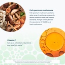 youtheory-immune-daily-wellness-60-veget-5.jpg