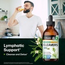 bio-krauter-cleavers-for-lymphatic-suppo-2.jpg