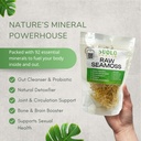 raw-sea-moss-2oz-wildcrafted-honduran-se-4.jpg