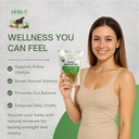 raw-sea-moss-2oz-wildcrafted-honduran-se-2.jpg