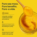 go-tu-sea-moss-gel-turmeric-8oz-wildcraf-4.jpg