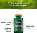 swanson-magnesium-l-threonate-brain-and--4.jpg