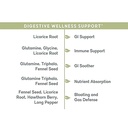 balanced-vibe-brain-gut-health-axis-memo-5.jpg