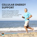 source-naturals-life-force-multiple-no-i-5.jpg
