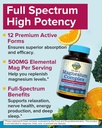 terranics-12-in-1-magnesium-complex-500m-3.jpg