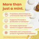 neuro-calm-clarity-mints-gaba-l-theanine-5.jpg