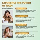 nad-supplement-1500mg-liposomal-nad-nico-5.jpg