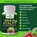 green-valley-naturals-brain-vitality-plu-2.jpg