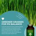 healthforce-superfoods-greener-grasses-a-5.jpg