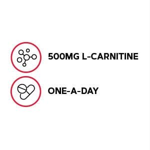 gnc-gentlesorb-iron-18mg-supplement-supp-3.jpg