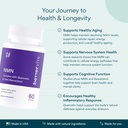 bettervits-nmn-supplement-with-quercetin-4.jpg