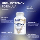 research-verified-nmn-boost-cellular-ene-2.jpg