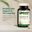 standard-process-ligaplex-ii-joint-bone--3.jpg
