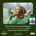 swanson-triple-magnesium-complex-mineral-2.jpg