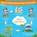 zeolite-d-t-x-for-kids-adults-sugar-free-5.jpg