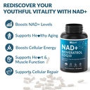weevit-nad-resveratrol-supplement-with-c-4.jpg