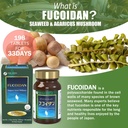 fine-japan-fucoidan-with-wakame-seaweed--5.jpg