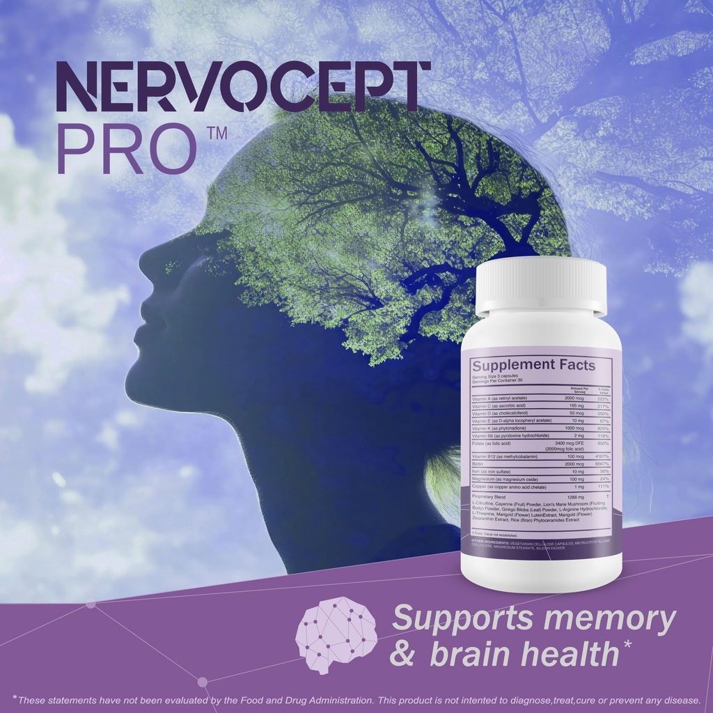 nervocept-pro-our-best-nerve-support-cap-6.jpg