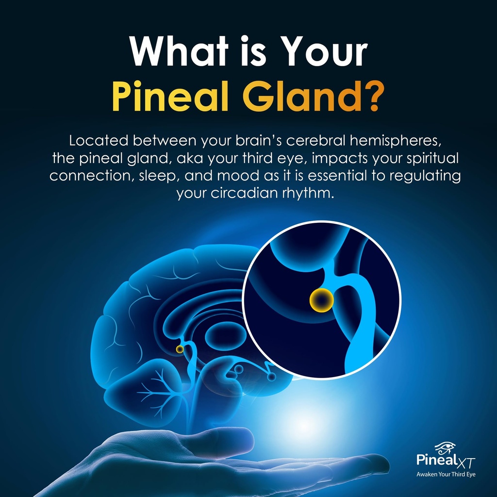 pineal-xt-gold-pineal-gland-supplement-t-4.jpg