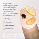 trace-minerals-zerolyte-salty-berry-lemo-6.jpg