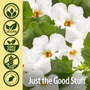 nature-s-answer-bacopa-monnieri-helps-im-5.jpg