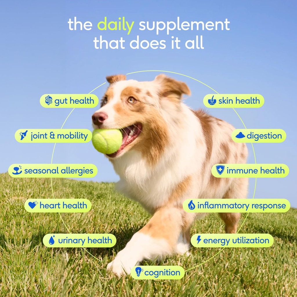 native-pet-the-daily-dog-vitamins-supple-2.jpg