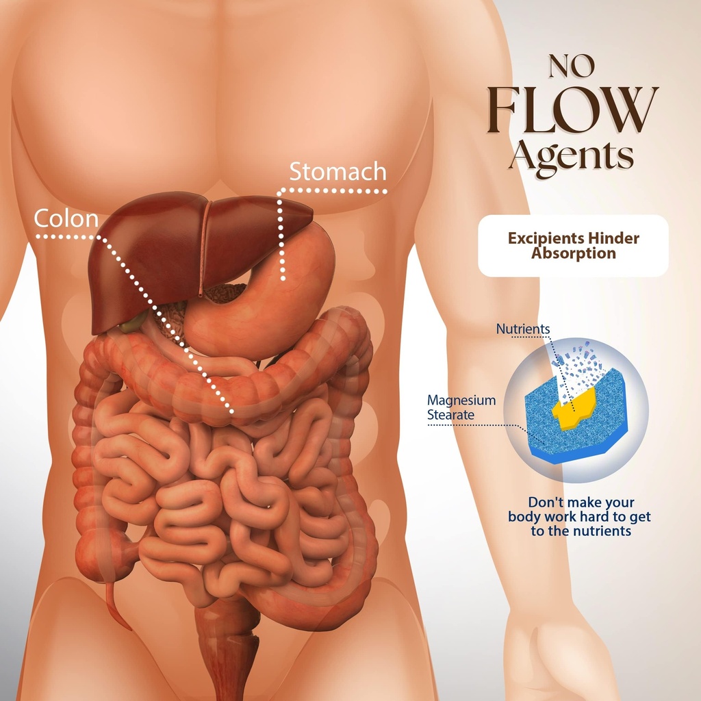 dr-clark-ginger-root-supplement-digestiv-6.jpg