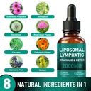 lymphatic-drainage-drops-immune-support--4.jpg
