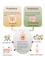 100billion-cfu-probiotic-and-47-fermente-3.jpg