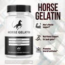 5-pack-horse-gelatin-capsules-official-h-3.jpg