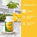 rachelstea-candida-support-intestinal-fl-3.jpg