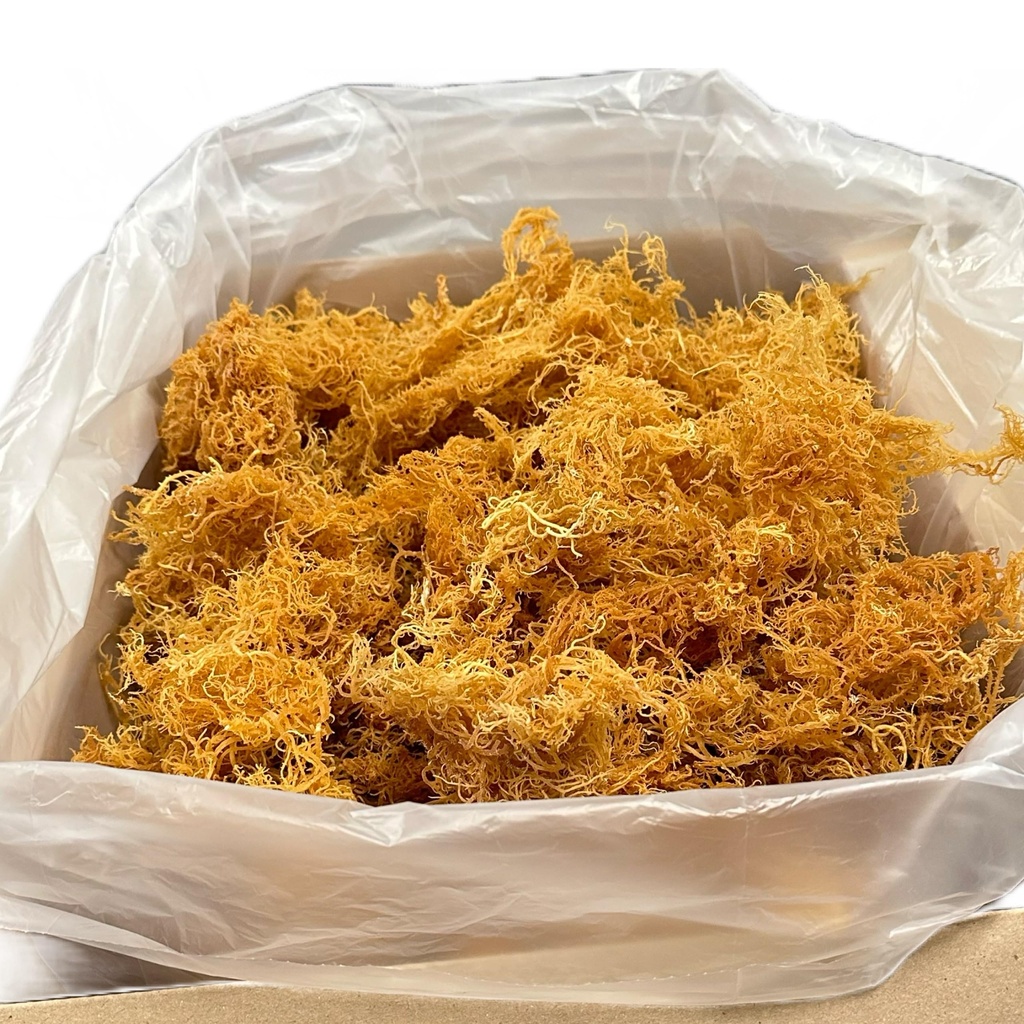 tropical-superfoods-100-wildcrafted-gold-6.jpg