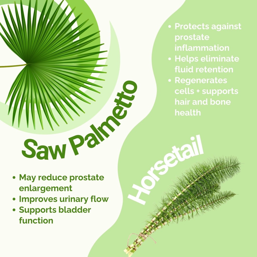 saw-palmetto-prostate-supplement-for-men-2.jpg