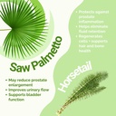 saw-palmetto-prostate-supplement-for-men-2.jpg